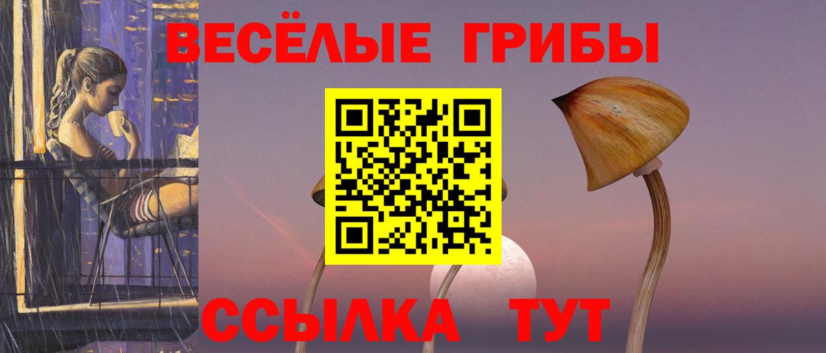 Галлюциногенные грибы Psilocybine cubensis  Псилоцибиновые грибы Cubensis  Вход с VPN  Новоалтайск 